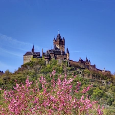 Hill, Castle, flourishing, trees, Spring, Reichsburg