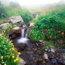 waterfall, stone, Flowers, stream