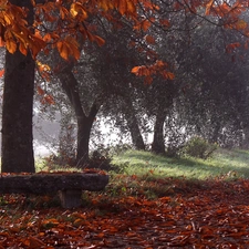 viewes, Park, Fog, autumn, Way, trees