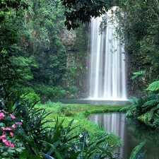 forest, waterfall, Flowers