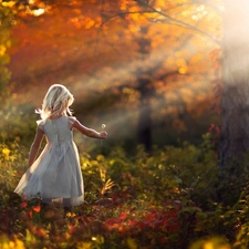 rays of the Sun, girl, forest