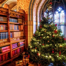 interior, christmas tree, gifts, Books