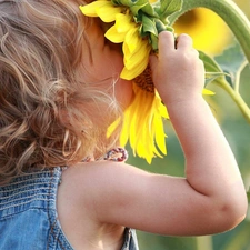 girl, Sunflower, Kid