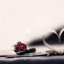 Heart, pen, rose