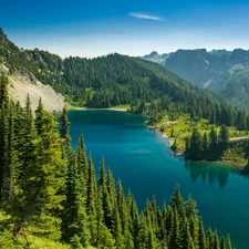 Spruces, lake, trees, viewes, Mountains