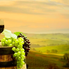 Wine, Bottle, barrel, landscape, Grapes, glasses