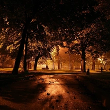 Park, Night, light, alley