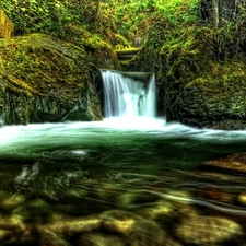 waterfall, viewes, Moss, trees