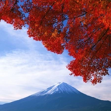 mountains, color, Leaf