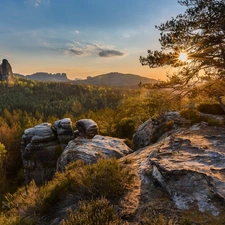 trees, Děčínská vrchovina, Saxon Switzerland National Park, Germany, viewes, rocks