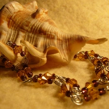 shell, Necklace