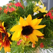 ornamental, bouquet, Nice sunflowers