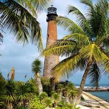 Palms, Lighthouse, maritime