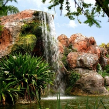 Plants, waterfall, rocks