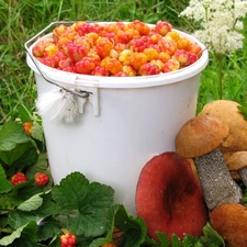 raspberries, mushrooms, bucket