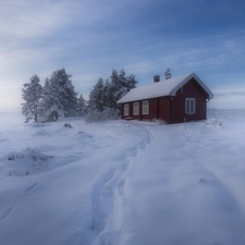 Ringerike Municipality, Norway, winter, trees, snow, Fog, forest, house, viewes