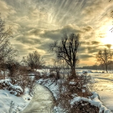 trees, west, River, winter, viewes, sun