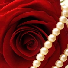 Pearl, red hot, rose