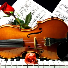 violin, Tunes, roses, Piano