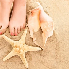 Shells, Sand, Foot