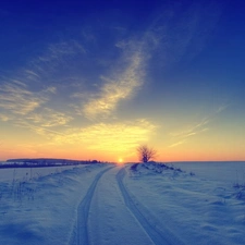field, west, sun, winter