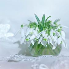 Flowers, tablecloth, snowdrops, White, decoration