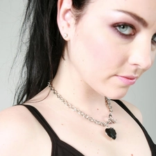 Amy Lee, The look