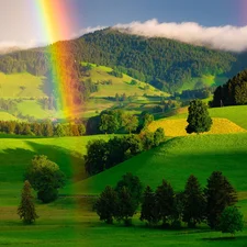 The Hills, forest, viewes, Mountains, Great Rainbows, trees, summer