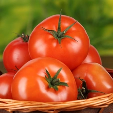 tomatoes, wicker, basket