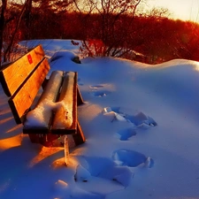 Bench, snow, viewes, traces, winter, trees, Bush
