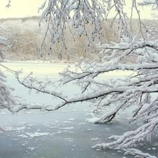 Frozen, branch pics, trees, River