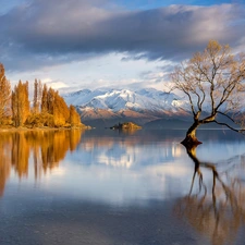 Mountains, Wanaka Lake, clouds, New Zeland, autumn, trees