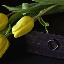 Yellow, wooden, trunk, Tulips