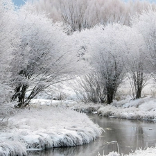 viewes, White frost, River, trees, winter