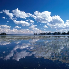 lake, trees, viewes, clouds