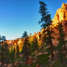 viewes, canyons, trees