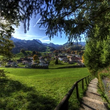 Meadow, Way, village, Switzerland, Houses, forest