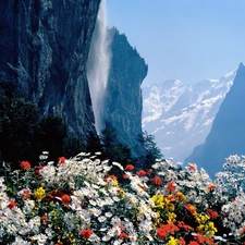 waterfall, Flowers, Mountains