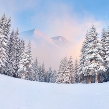 winter, Mountains, forest