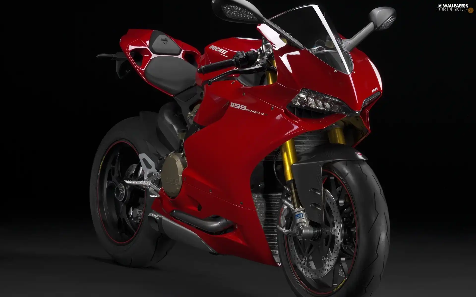 Ducati 1199 Paginale