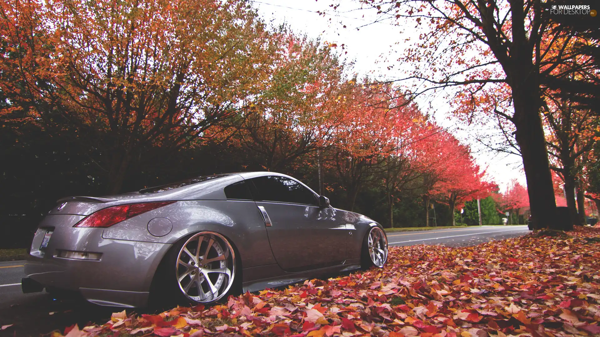 autumn, Nissan, 350Z, Way