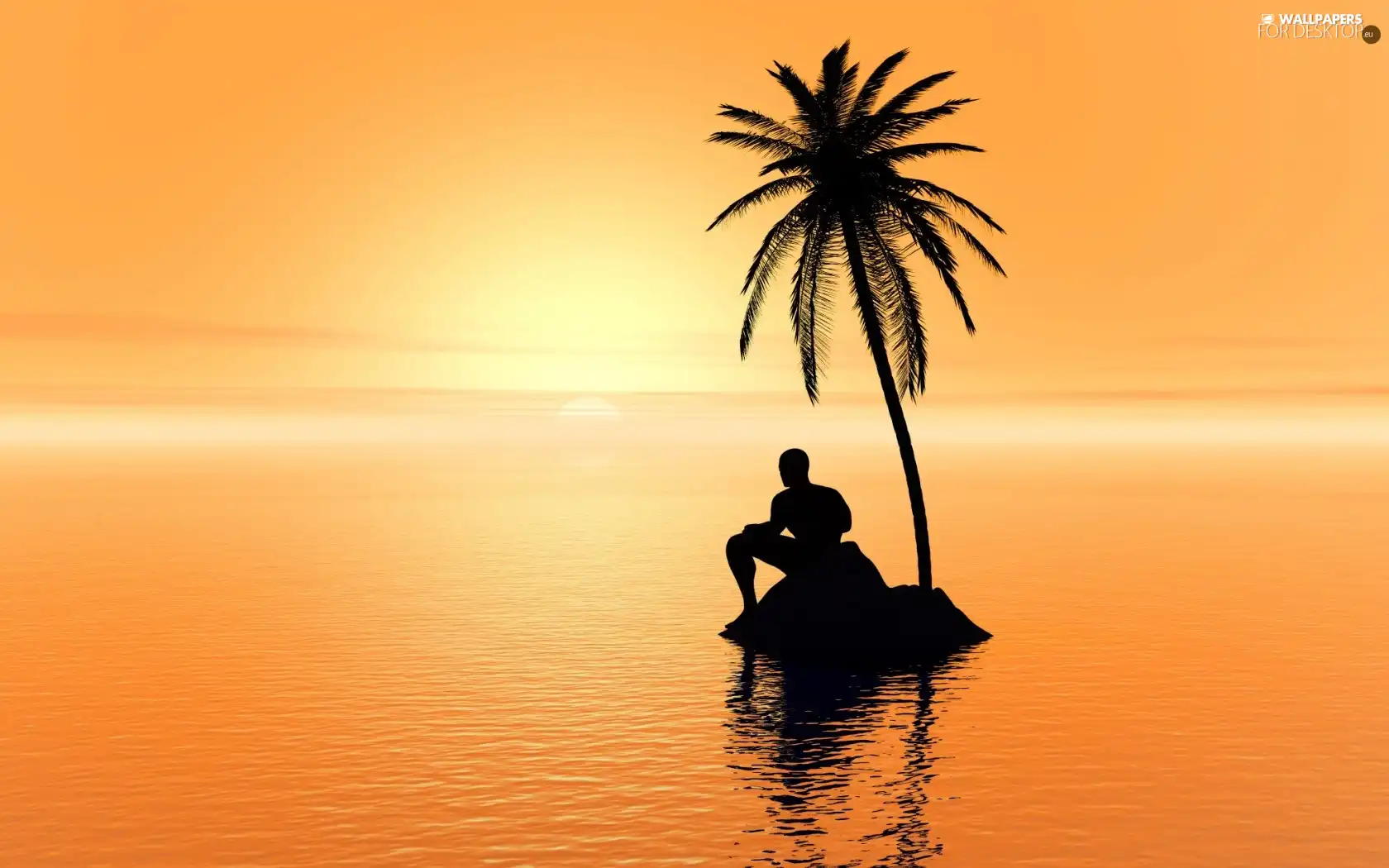 a man, sea, west, sun, Palm, Islet