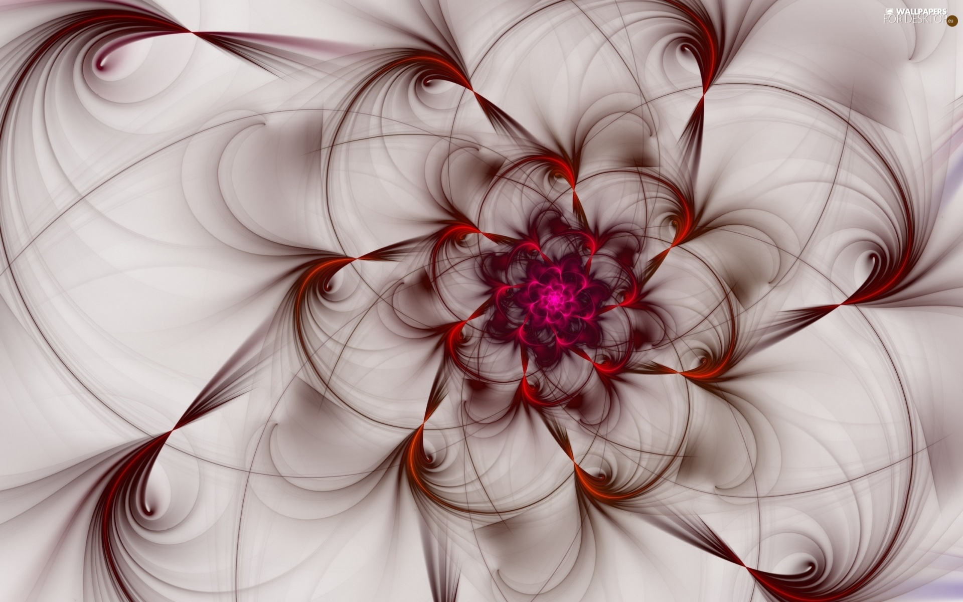 Flower, abstraction For desktop wallpapers 1920x1200