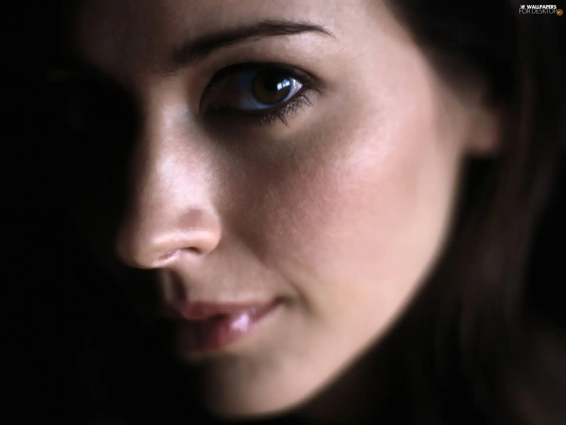 portrait, Amy Acker, actress