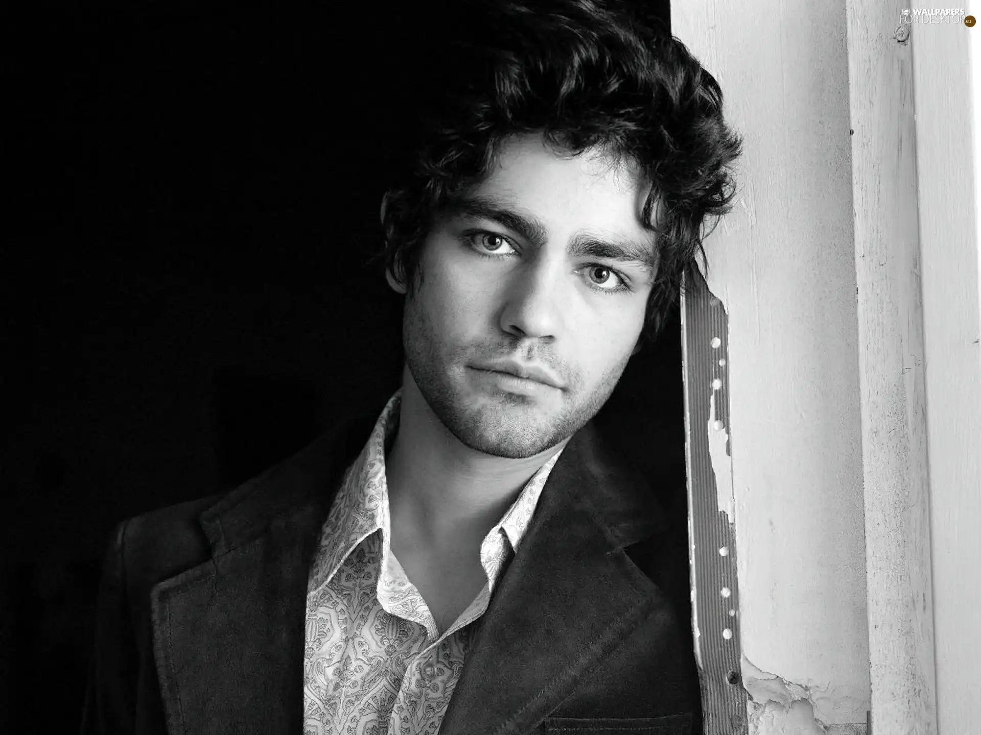 Adrian Grenier, actor