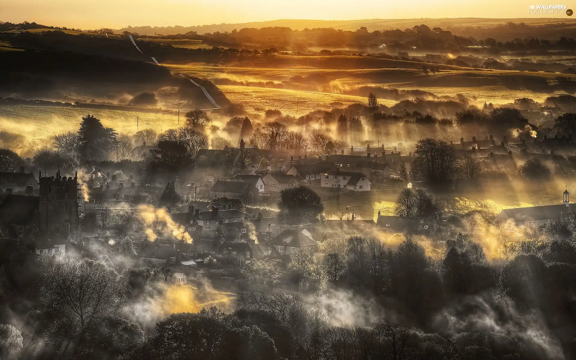 country, Fog, Aerial View, field