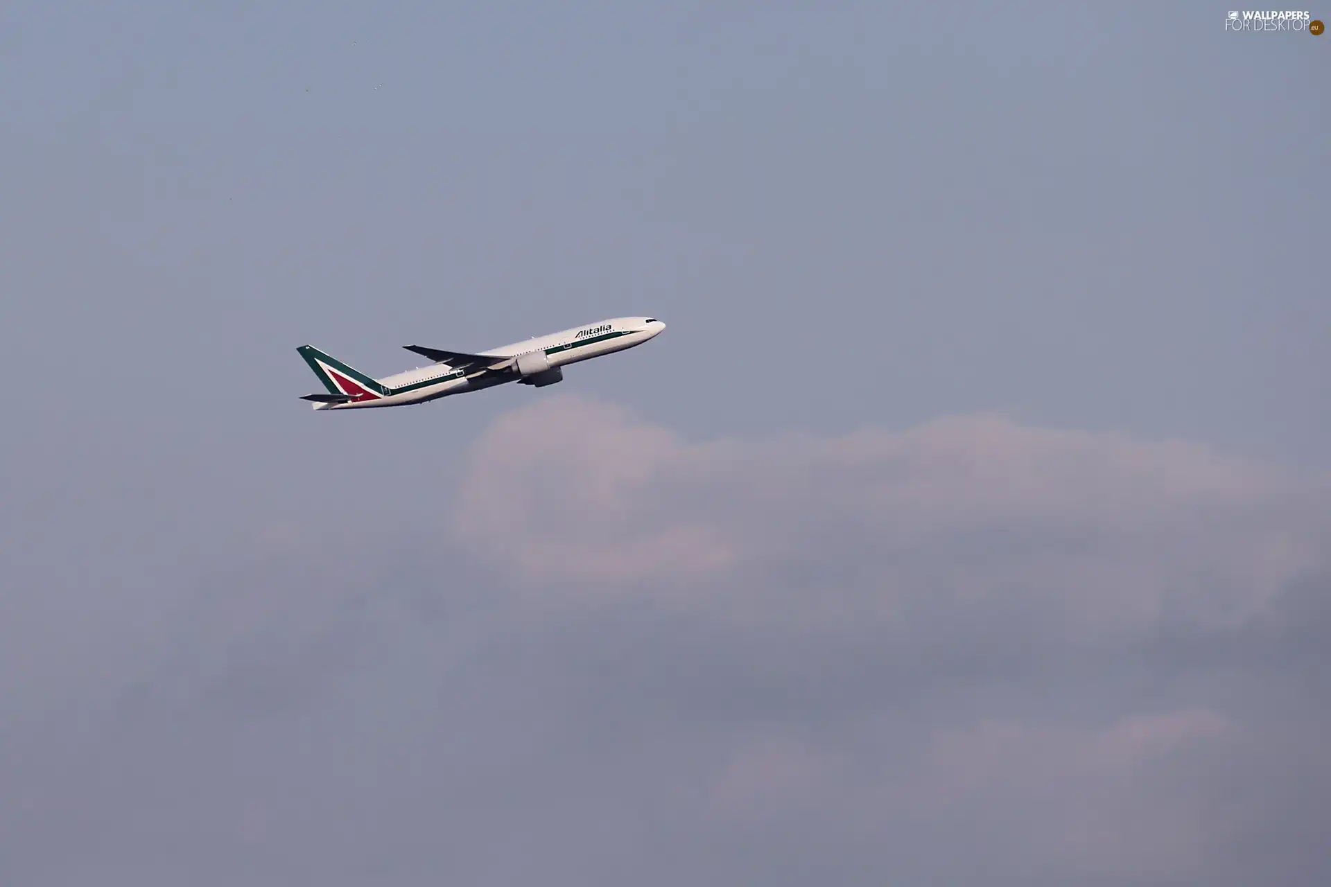 plane, Sky, Airbus, passenger