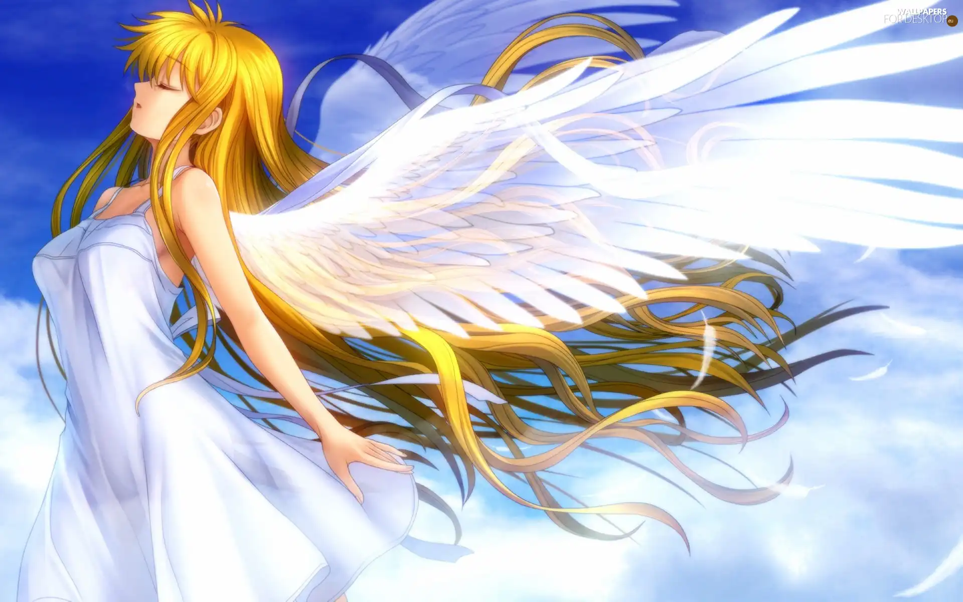 angel, girl, wings