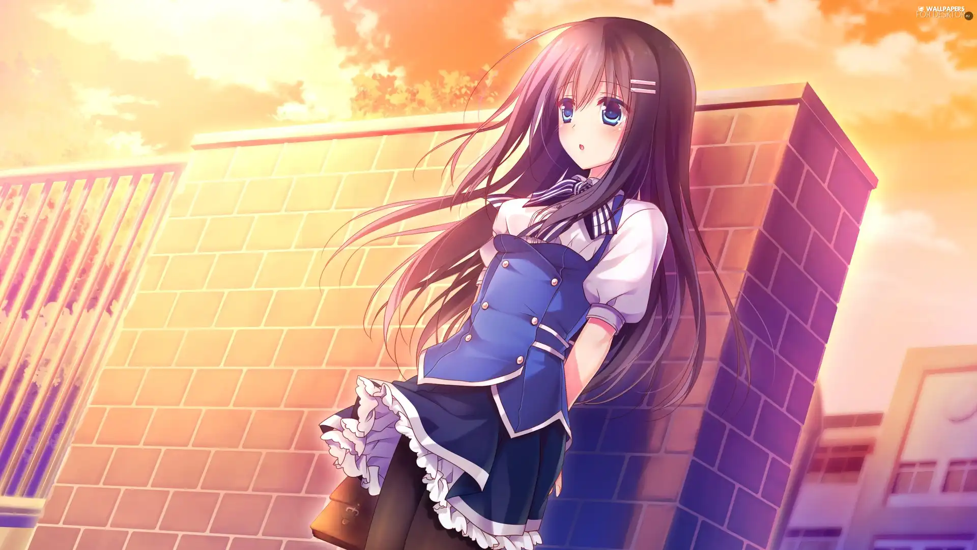 girl, Manga, Anime, fence - For desktop wallpapers: 2560x1440