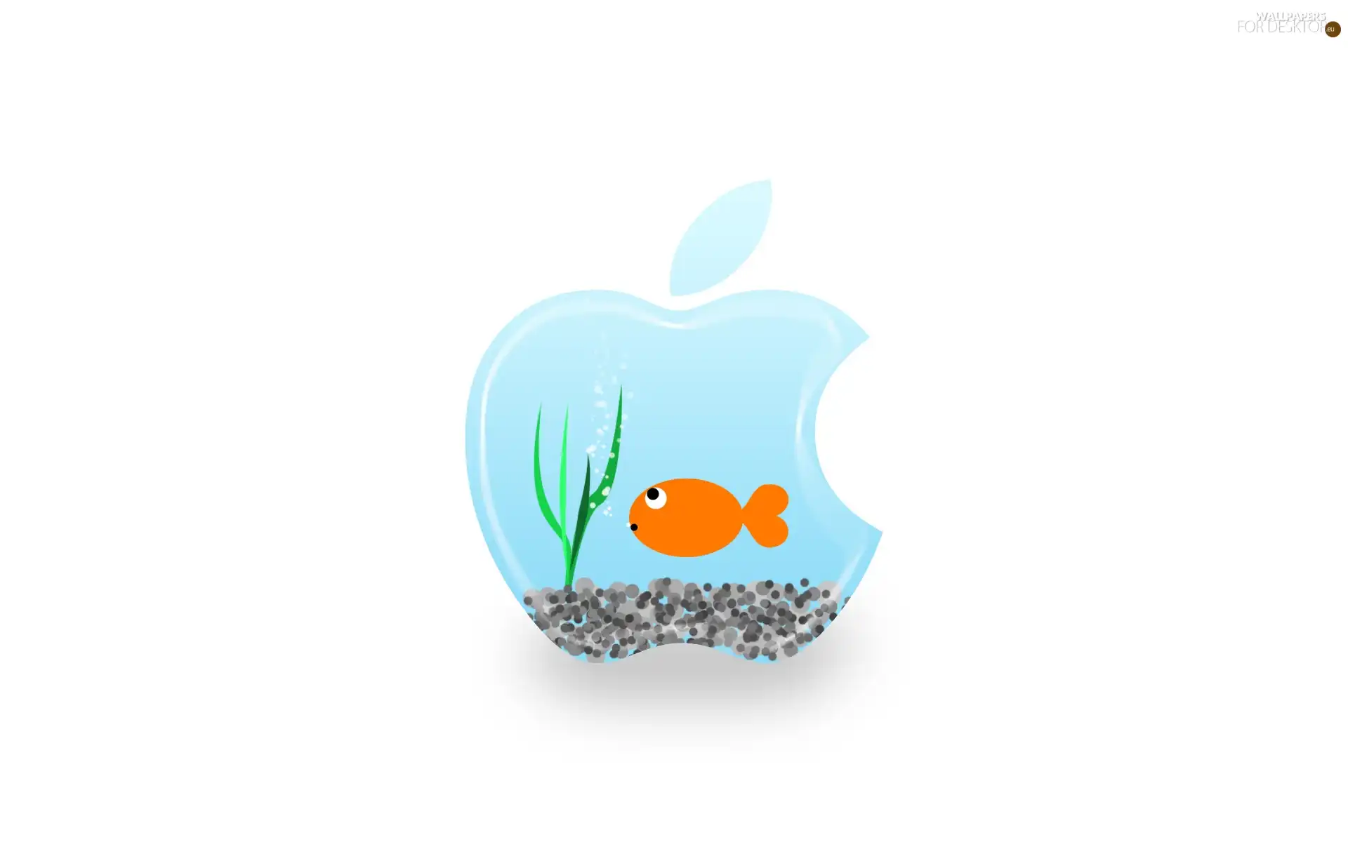 aquarium, Apple